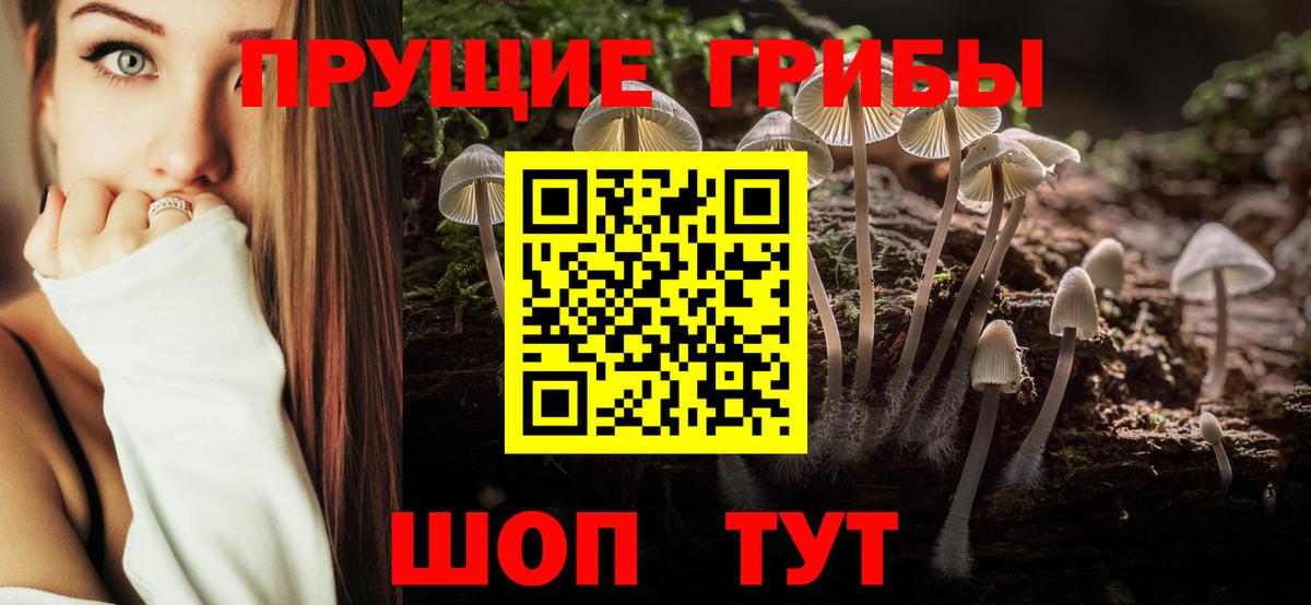 Псилоцибиновые грибы Magic Shrooms Сорочинск