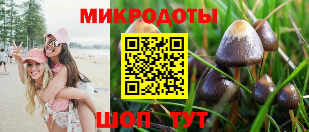 Сорочинск  Галлюциногенные грибы ЛСД  цены наркотик  Галлюциногенные грибы прущие грибы  Вход с VPN 